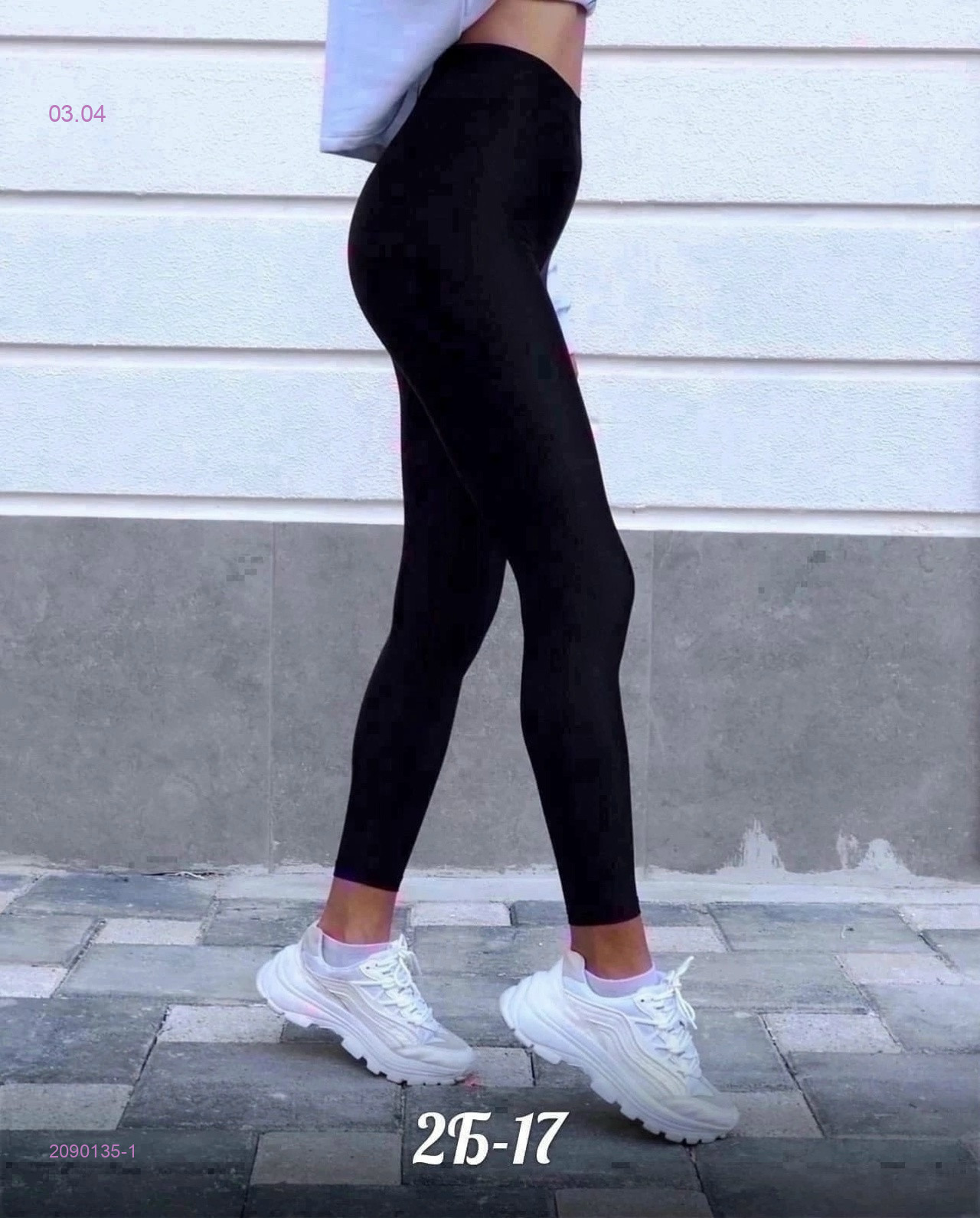 Лосины 2090135-1