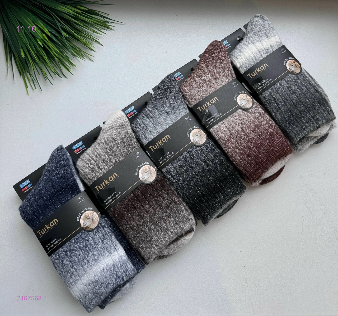 Носки мужские 10 пар 2167568-1