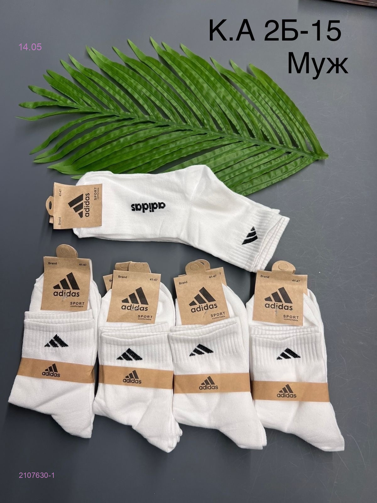 Носки мужские 10 пар 2107630-1