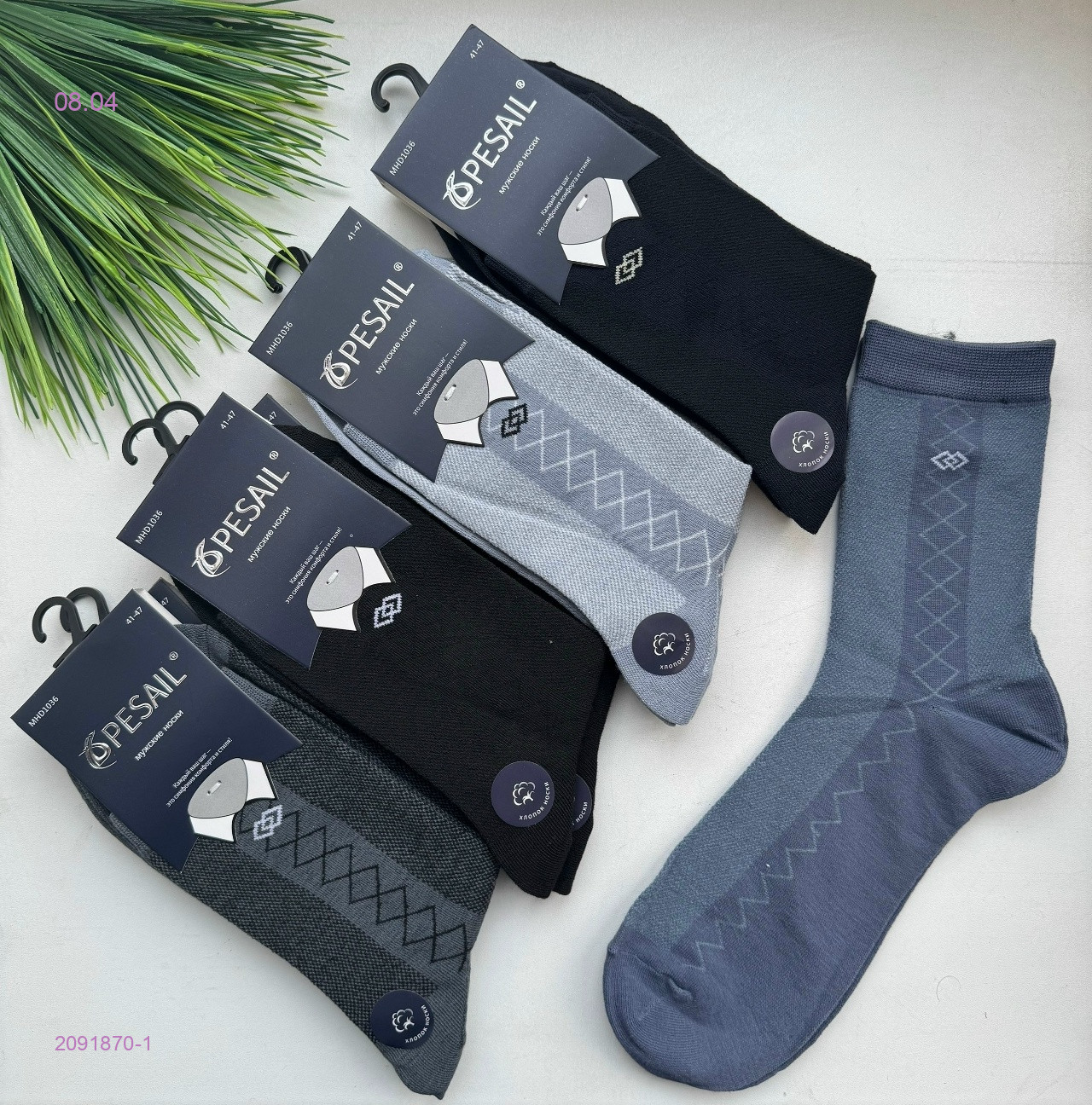 Носки мужские 10 пар 2091870-1