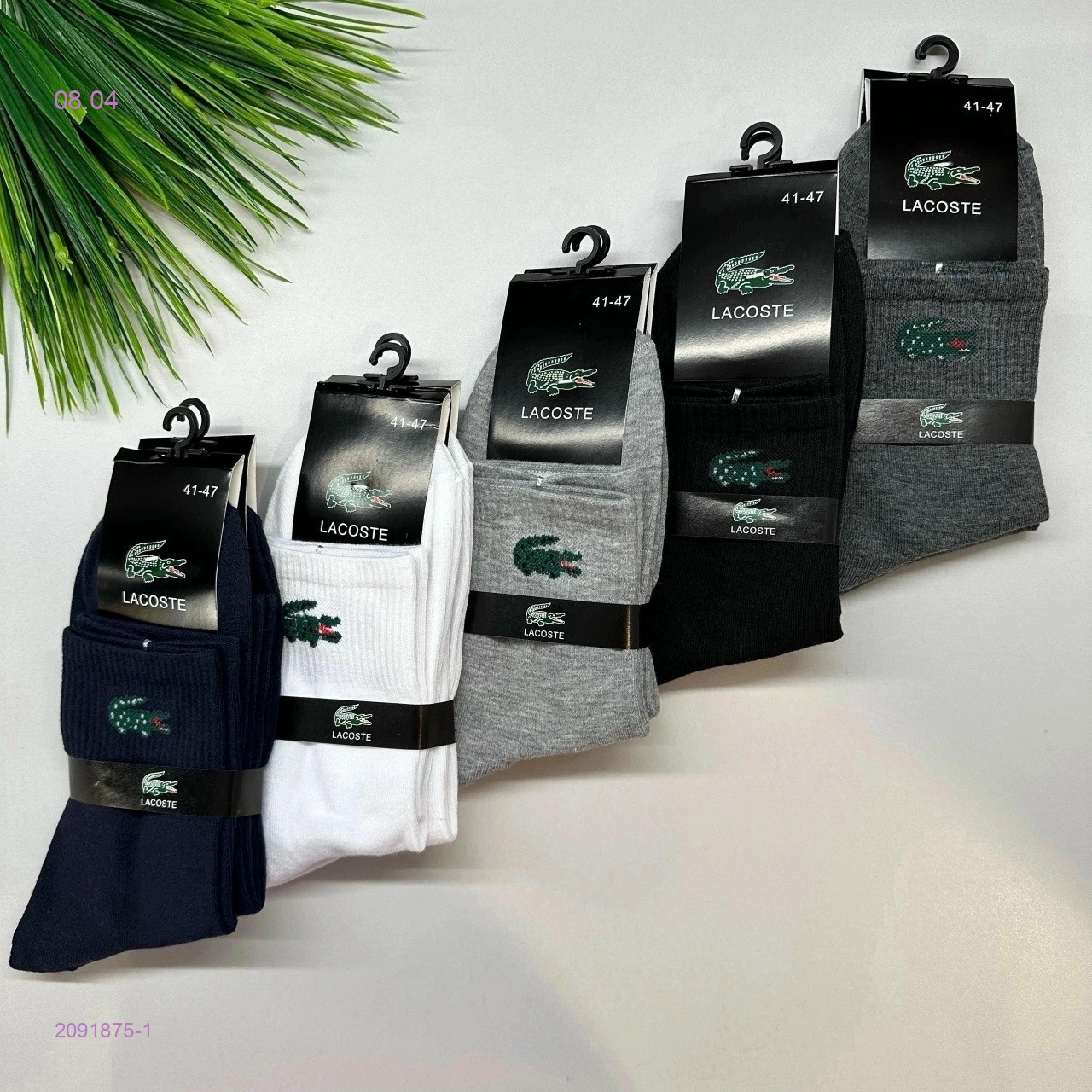 Носки мужские 10 пар 2091875-1