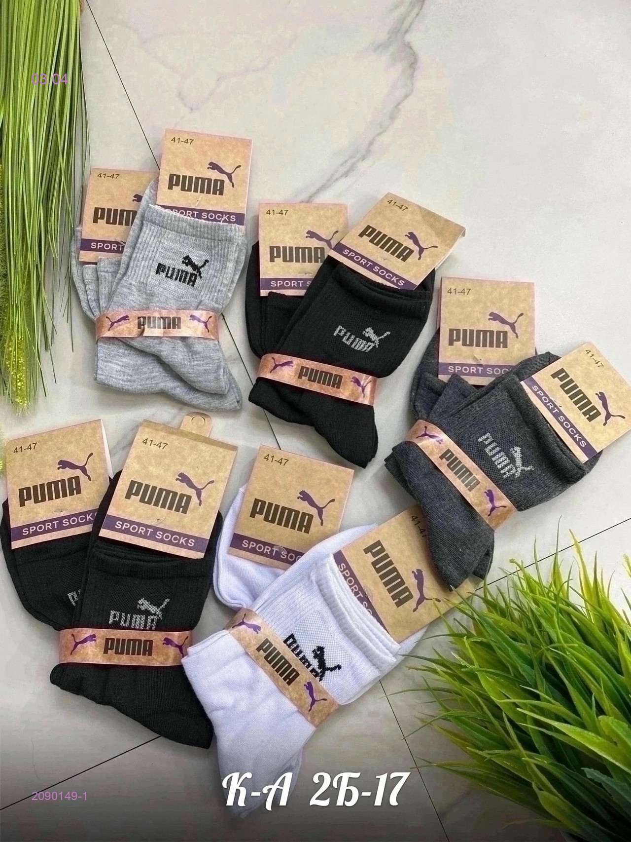 Носки мужские 10 пар 2090149-1