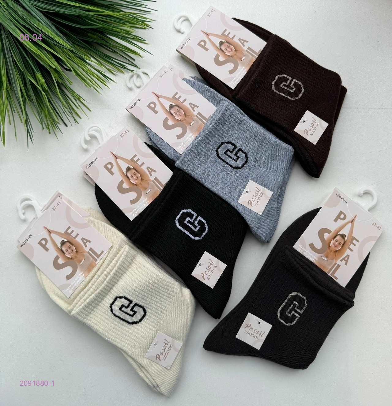 Носки женские 10 пар 2091880-1