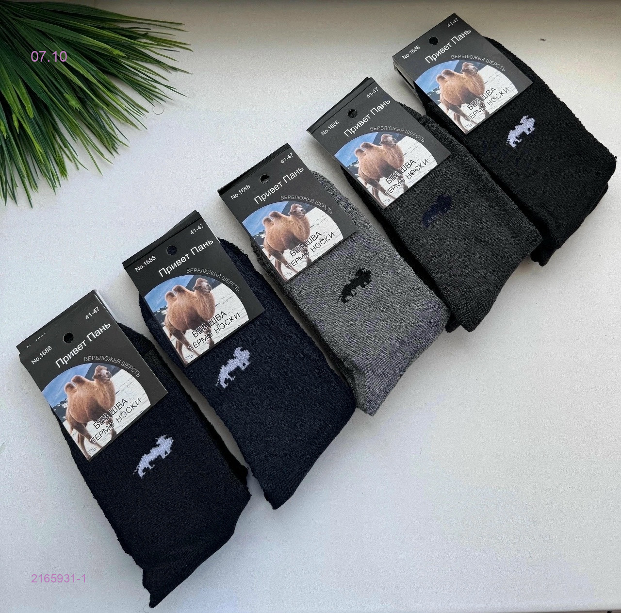 Носки мужские 12 пар 2165931-1
