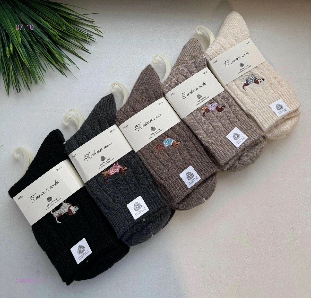 Носки женские 10 пар 2165916-1