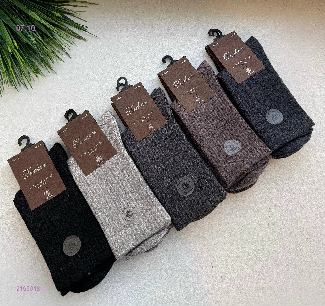 Носки мужские 10 пар 2165918-1