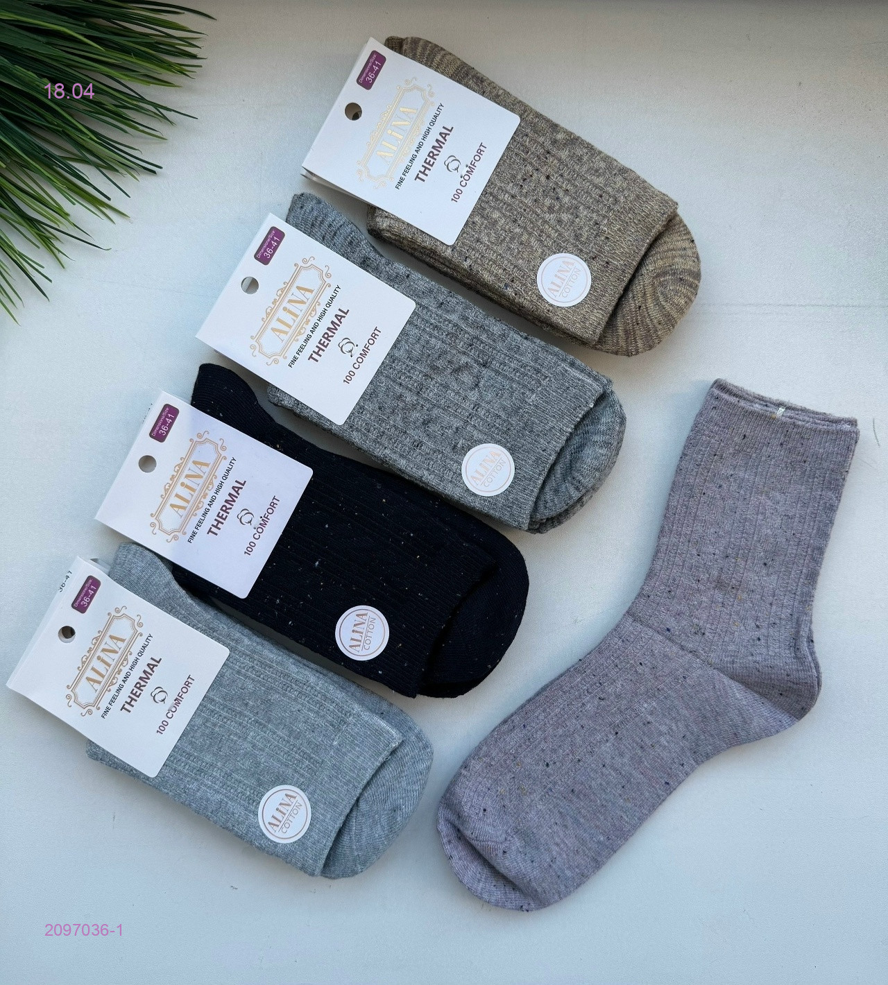 Носки женские 10 пар 2097036-1