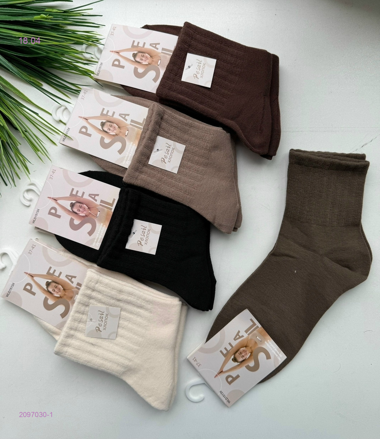 Носки женские 10 пар 2097030-1