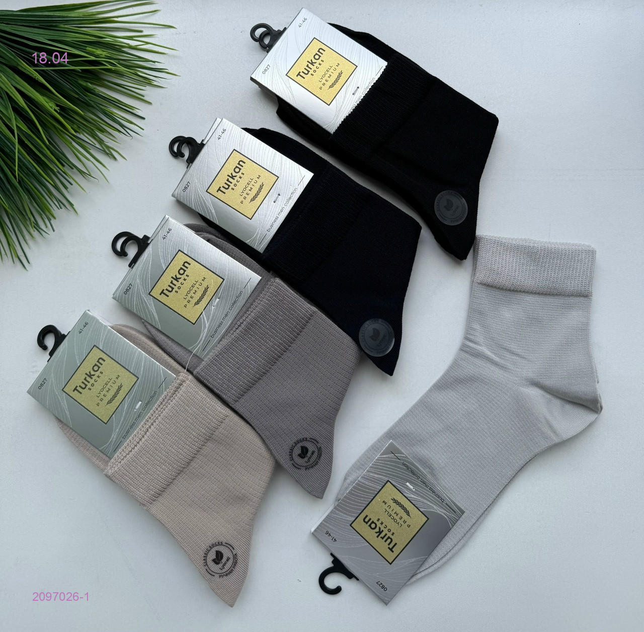 Носки мужские 10 пар 2097026-1