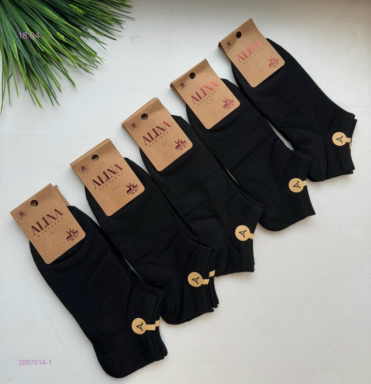Носки женские 10 пар 2097014-1