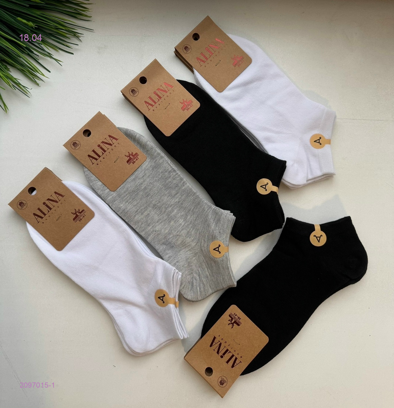 Носки женские 10 пар 2097015-1