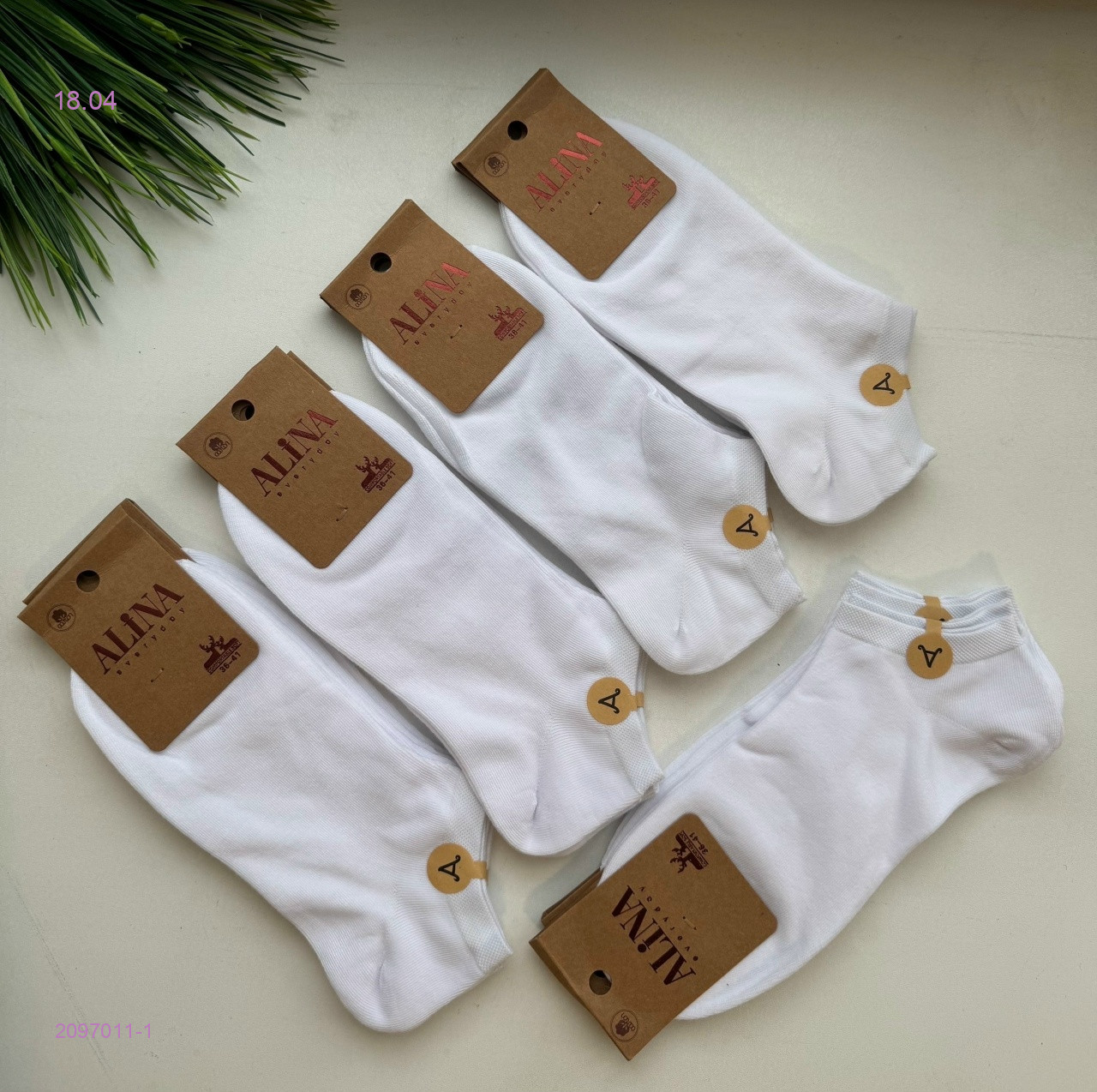 Носки женские 10 пар 2097011-1