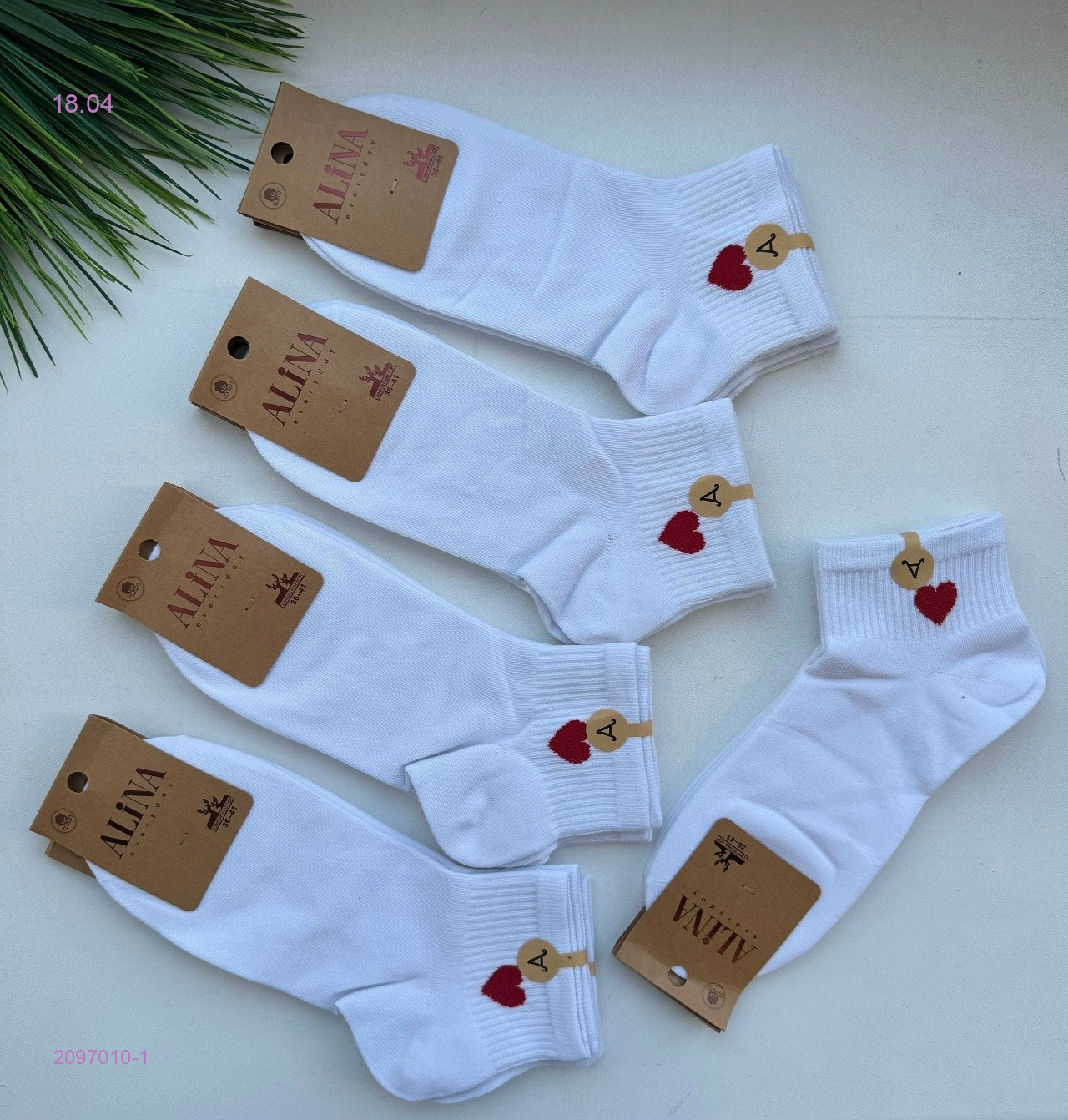 Носки женские 10 пар 2097010-1