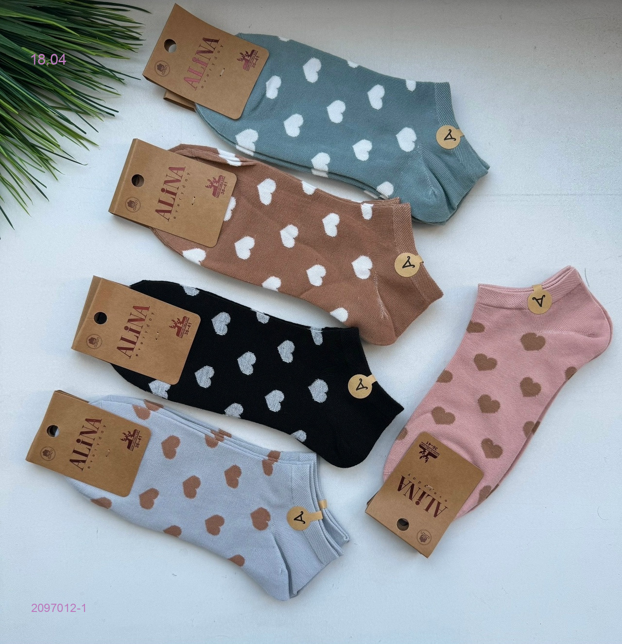 Носки женские 10 пар 2097012-1