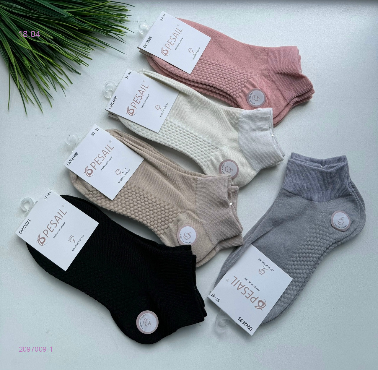 Носки женские 10 пар 2097009-1