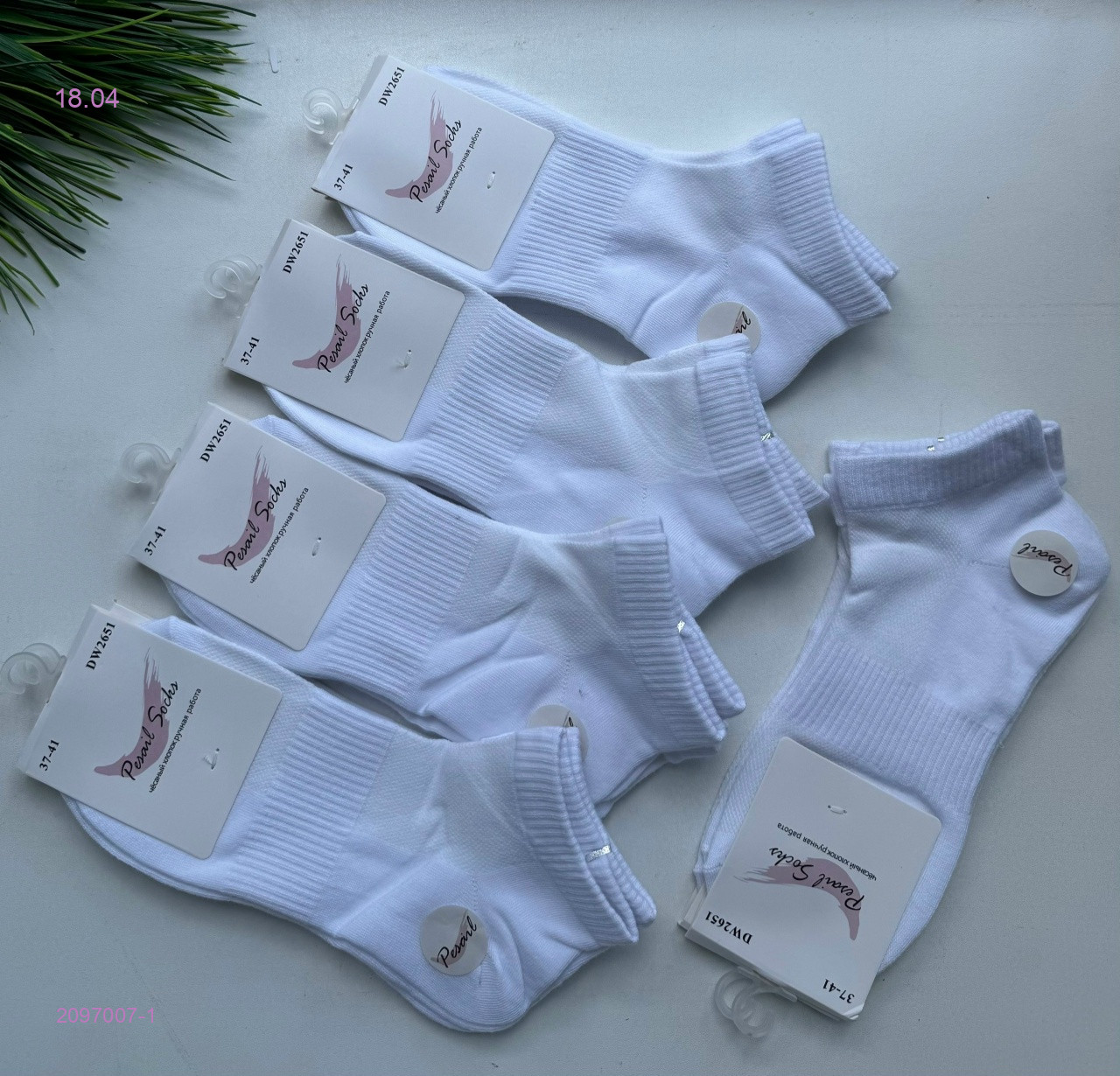 Носки женские 10 пар 2097007-1