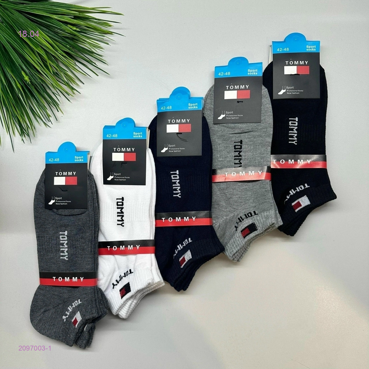 Носки мужские 10 пар 2097003-1