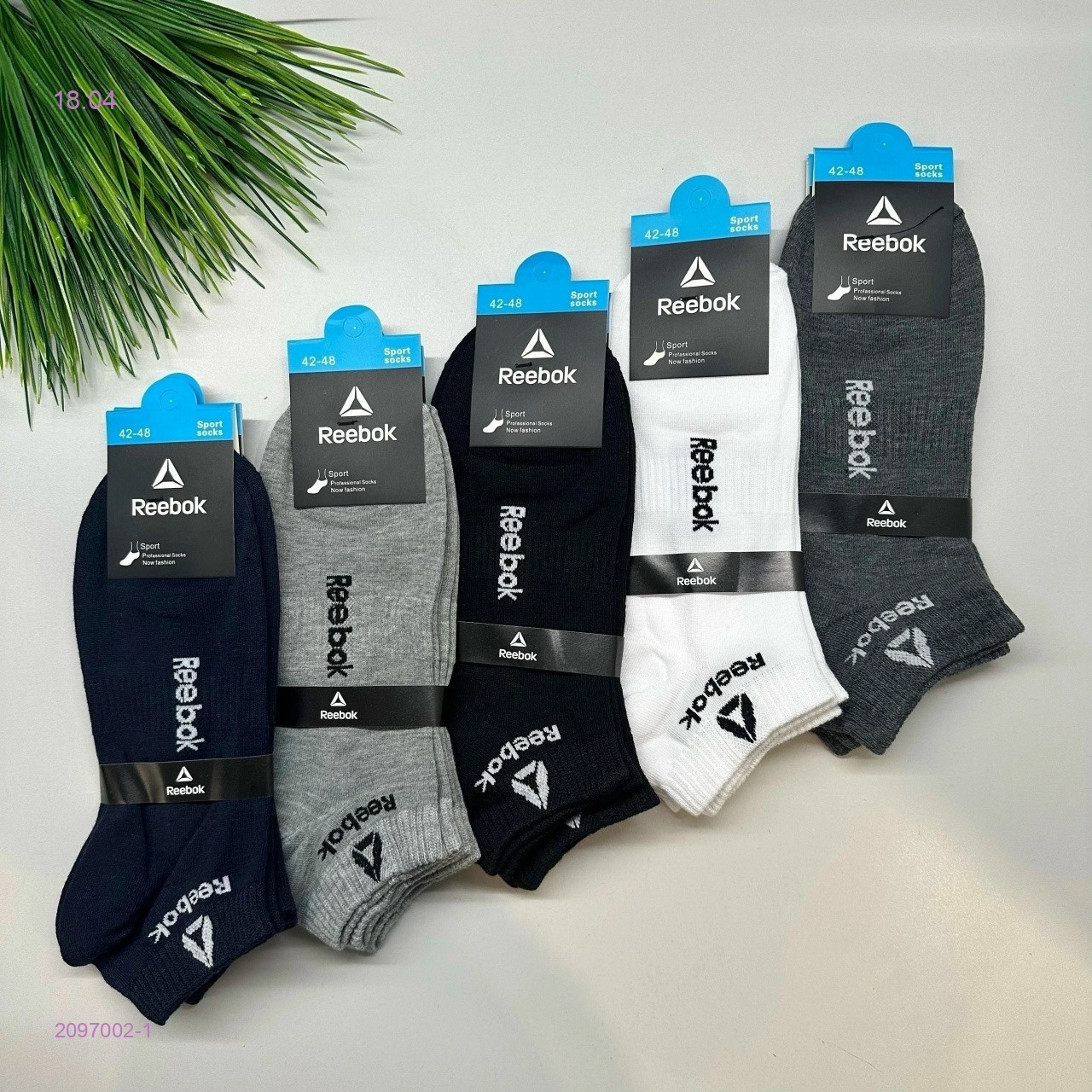 Носки мужские 10 пар 2097002-1