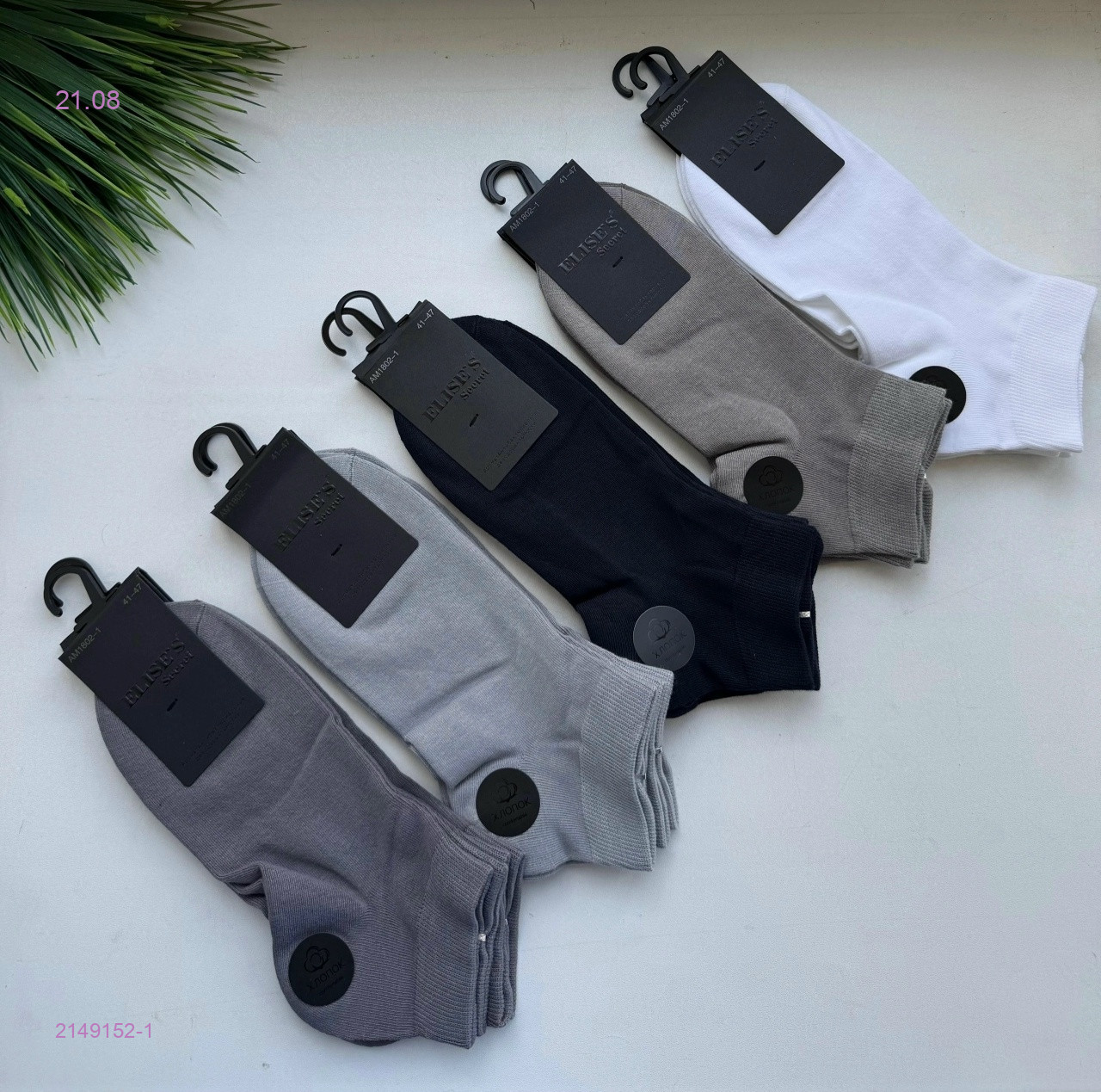 Носки мужские 10 пар 2149152-1