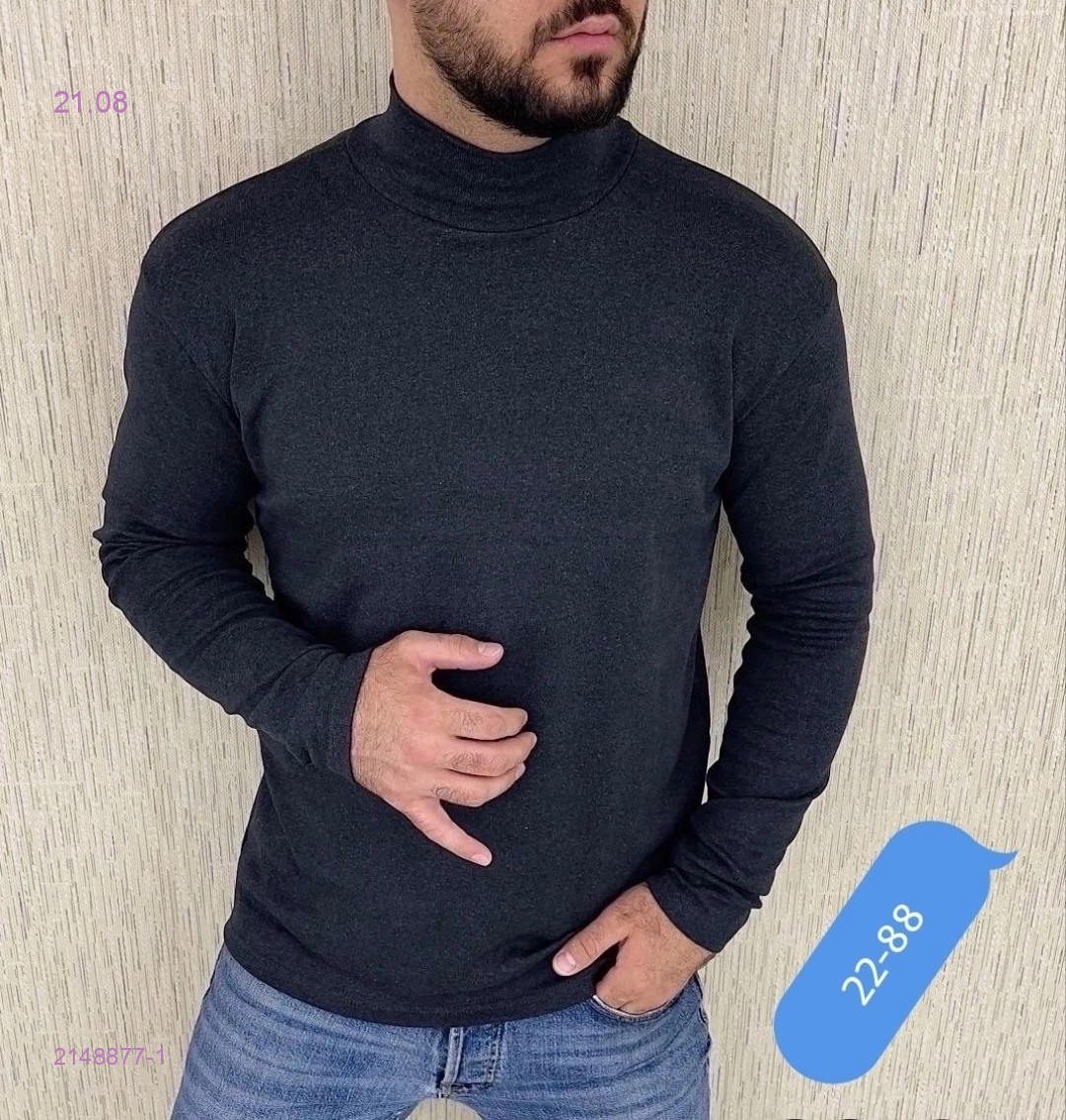Водолазка на флис 2148877-1
