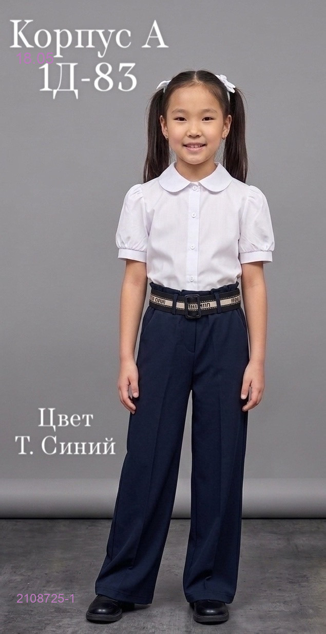 штаны 2108725-1