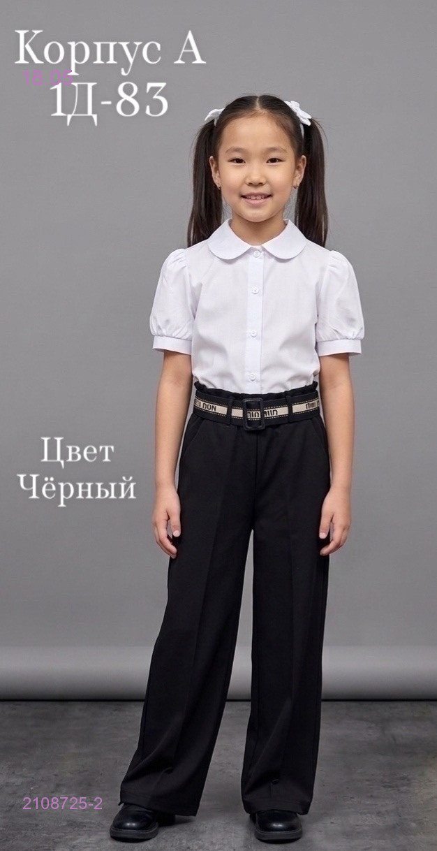штаны 2108725-2