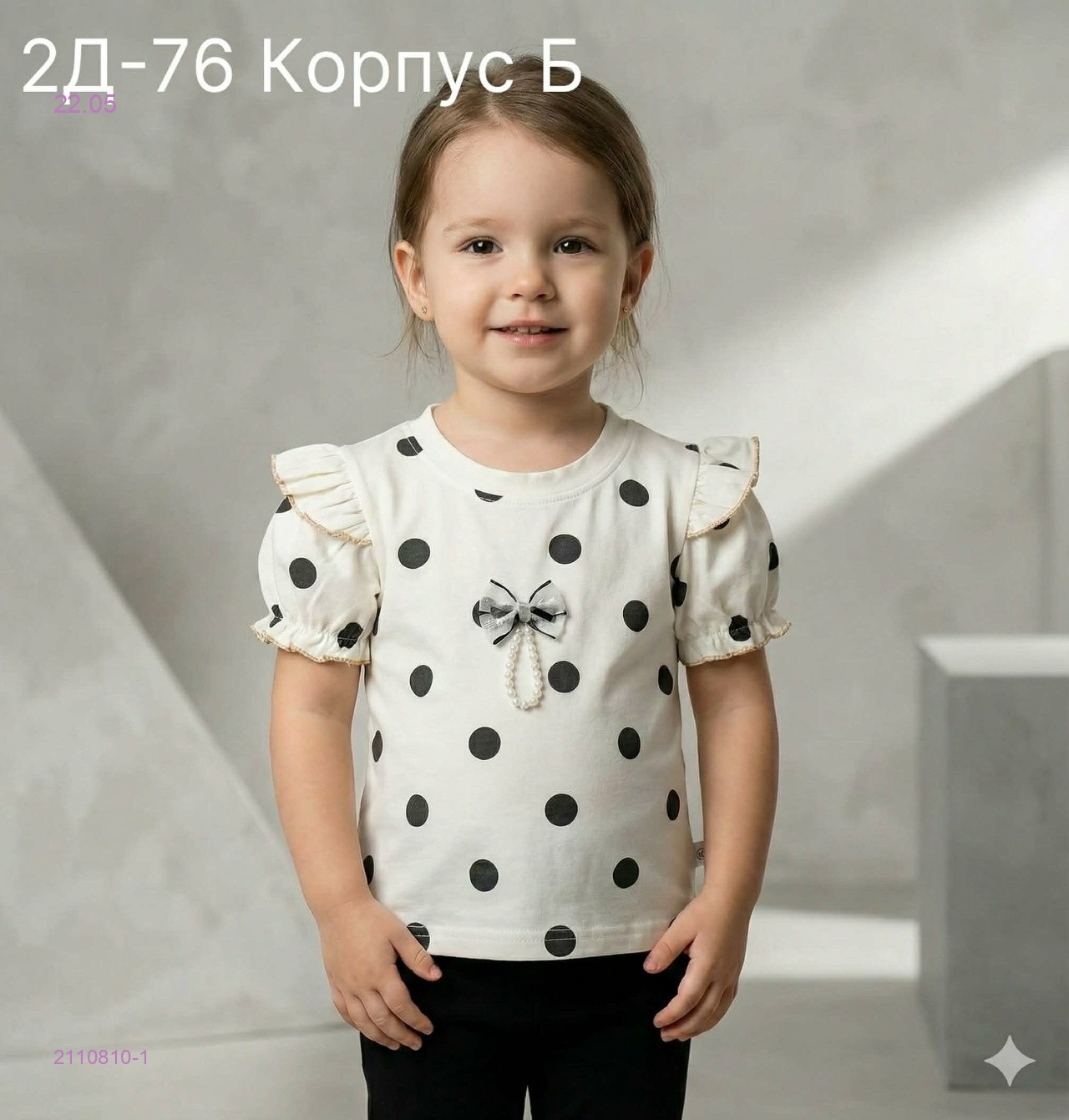 футболка 2110810-1