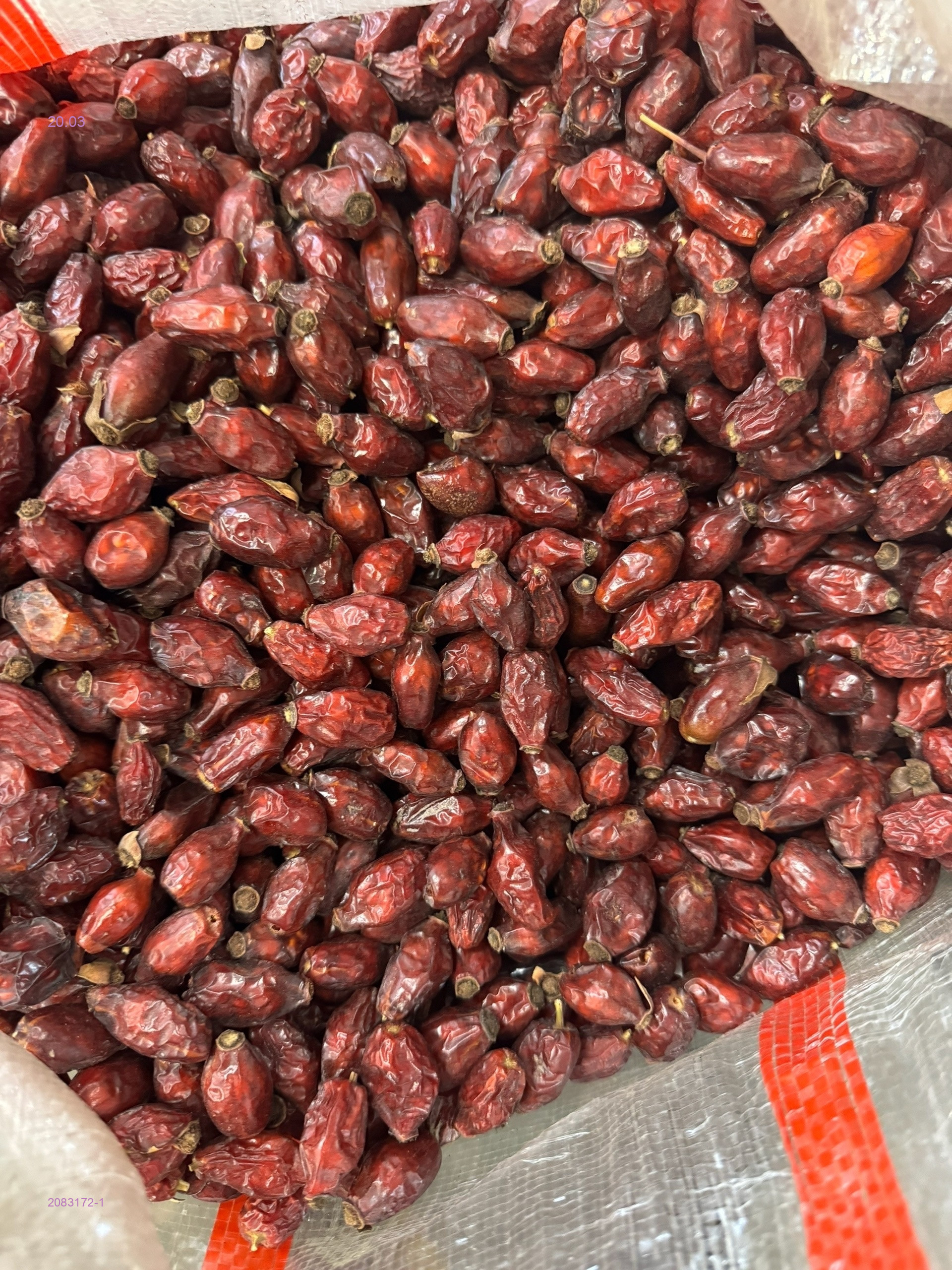 ШИПОВНИК 2083172-1