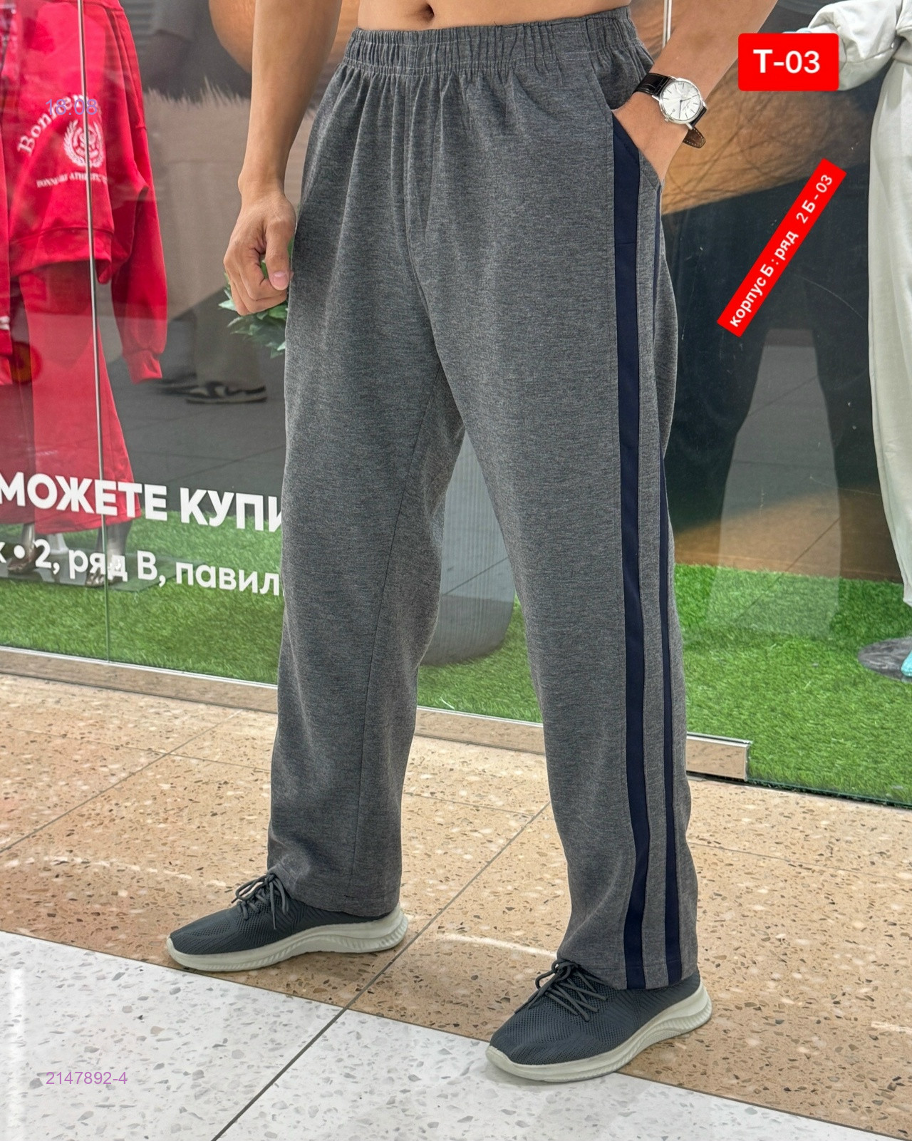 Штаны 2147892-4